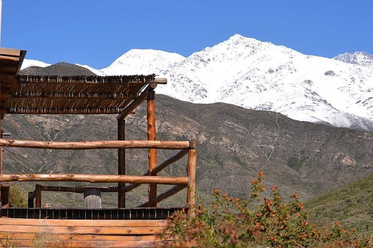 Margaritas Potrerillos