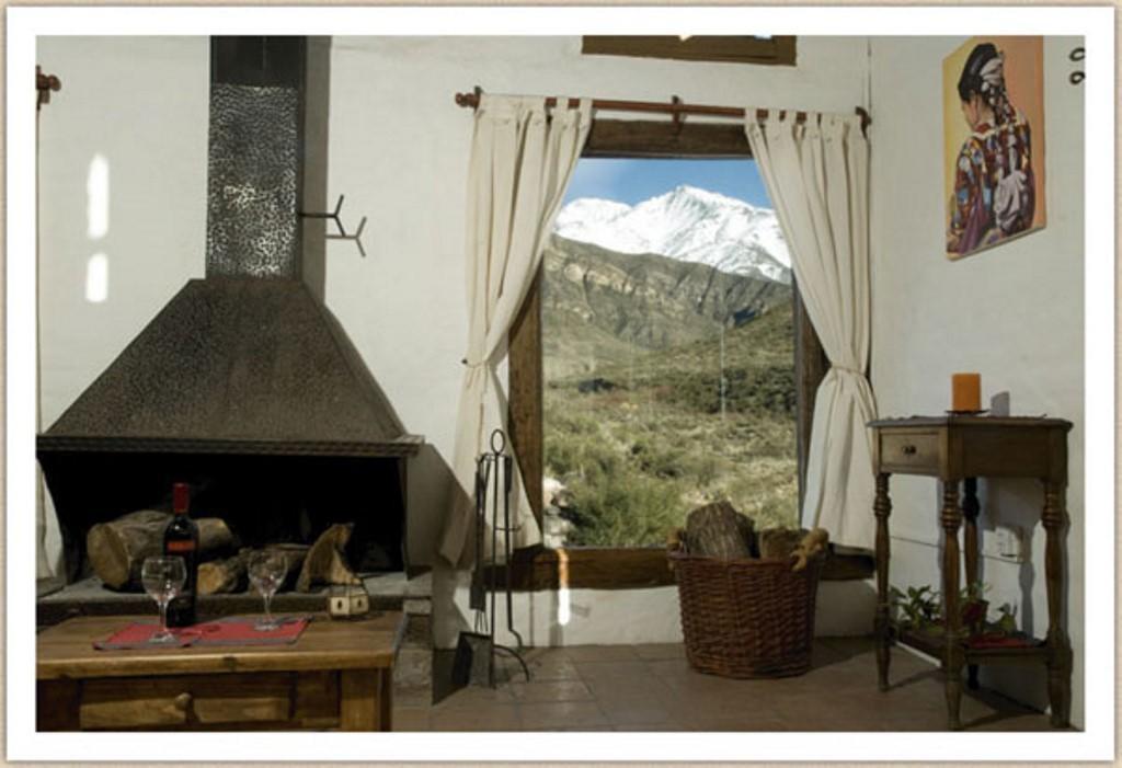 Margaritas * Potrerillos